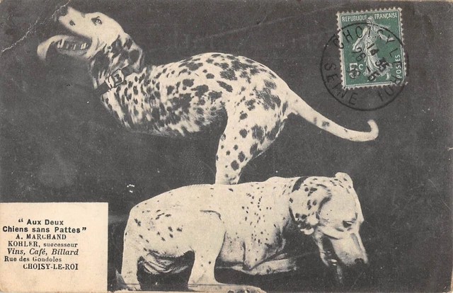 Cpa 94 Choose The King With Two Chiens Legsless Cafe Kohler Merchant Rue Des