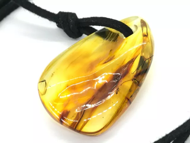 AMBER PENDANT With 2 Insects Natural BALTIC AMBER Insect Bead Black Cord 7g11542