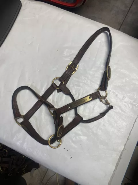Large Horse Riding Equestrian Pure Leather Halter Triple Stitch Brown VTG #9
