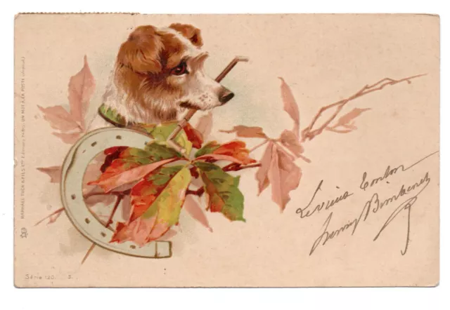 Cartolina. Helena Maguire Sans Signature. Ritratto Da Cane