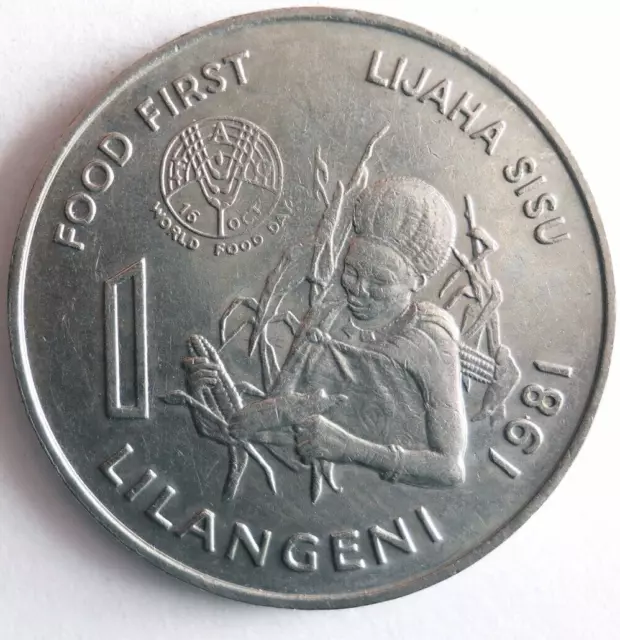 1981 SWAZILAND LILANGENI - FAO - LOW MINTAGE Coin - FREE SHIP - Africa Bin 4