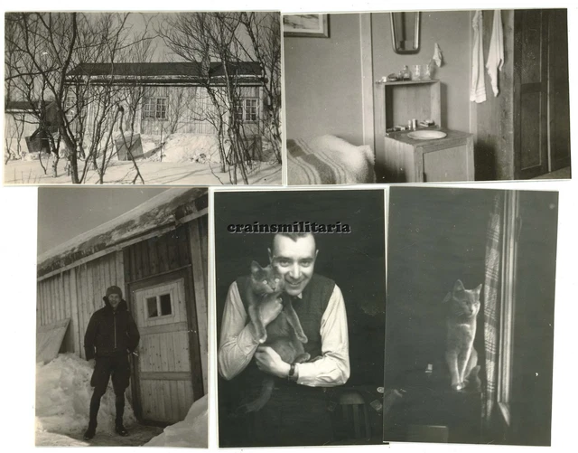 5x Orig. Foto Lager Piloten 1.(F)/124 am Flugplatz KIRKENES Norwegen 1942 Kätze