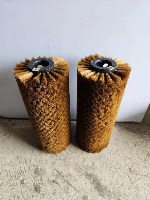 Host Freestyle gold Brushes