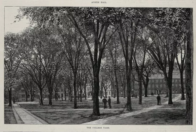Harvard University 250th Anniversary 4 Views of Campus, 1880s Antique Print 2