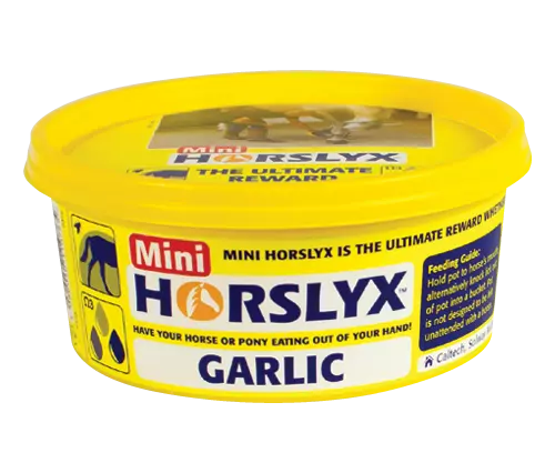 Horslyx Mini Vitamin and Mineral Lick 650g 2