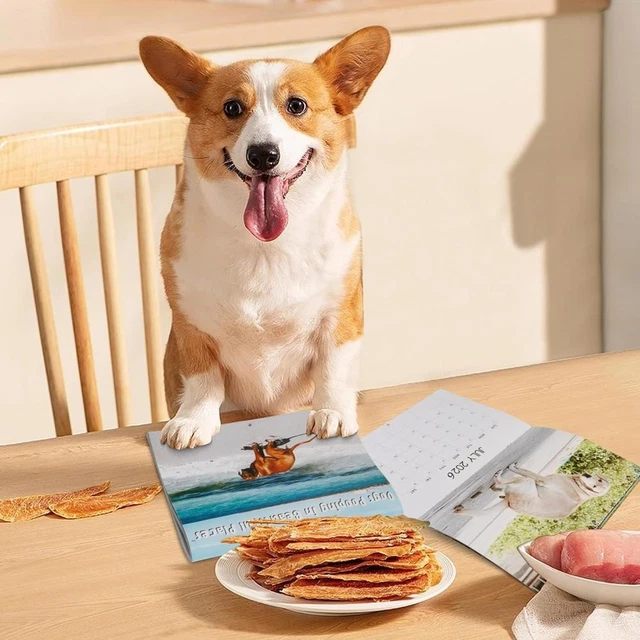 Calendar of dogs pooping in beautiful places – Cadeau Empoisonné