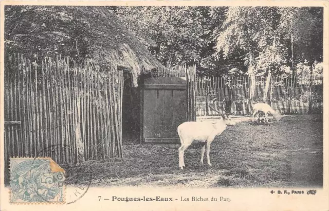Cpa 58 Pougues Les Eaux Les Biches Du Parc