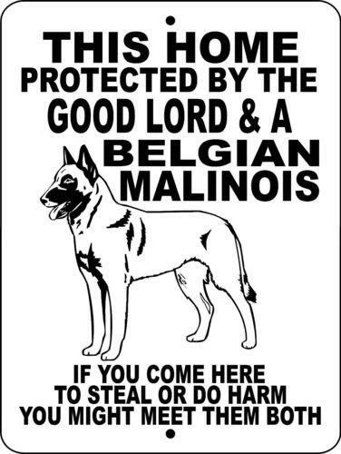 0296 Belgian Malinois 9"x12" Aluminum Sign