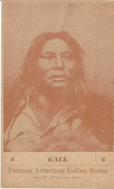 Famous American Indian Series Gall