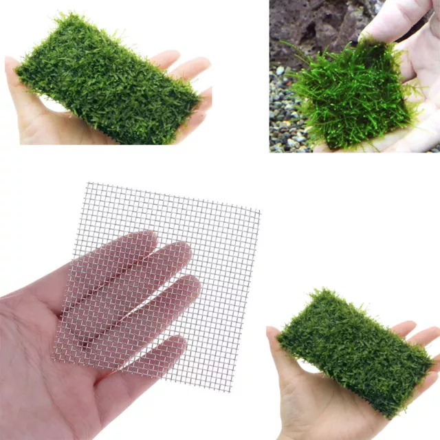 1/3/5X Aquarium fish tank stainless steel wire mesh plants moss net decor 8F-xd