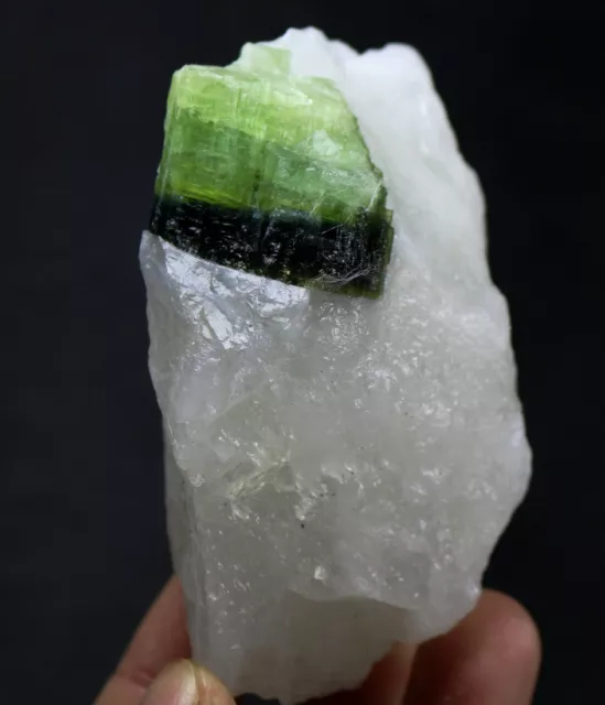 Top ! Class Amazing Terminated-Green Tourmaline W/ Quartz-Specimen 288g