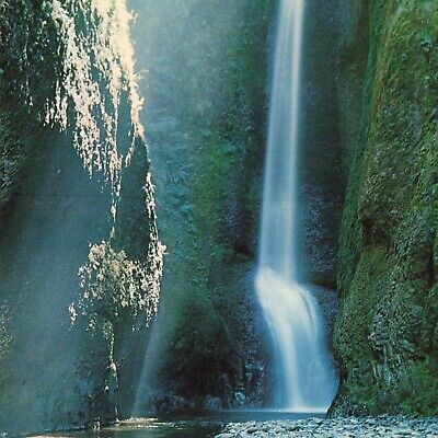 Postcard OR Oneonta Waterfalls Gorge Columbia River Scenic Highway Trail Forest