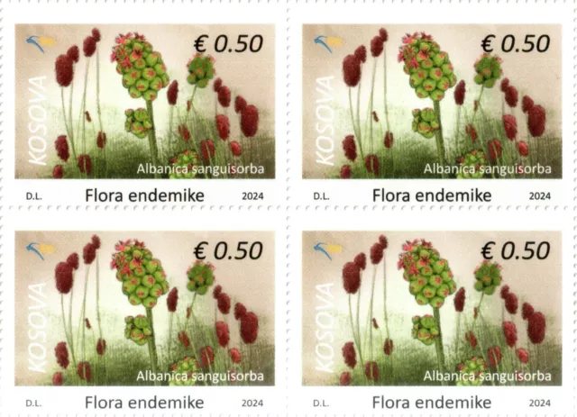 Kosovo Stamps 2024. Flora: Albanica sanguisorba. Definitive stamps 0.50 MNH