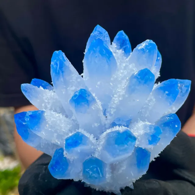 1.3LB New Find sky blue Phantom Quartz Crystal Cluster Mineral Specimen Healing