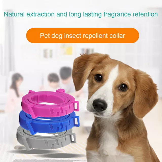 Anti Flea and Tick Neck Collar For Pet Dog Cat 8 Months Protection Adjustables