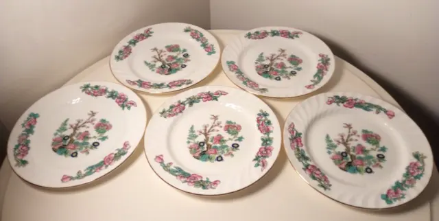 Indian Tree 5x side plates- Vintage -Fine bone china- Scalloped edge- Pretty GC