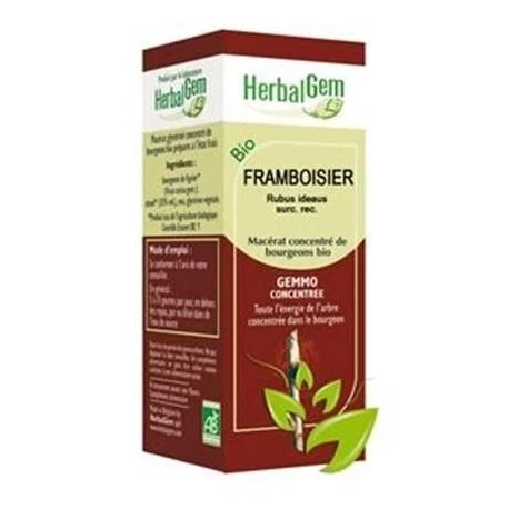 GEMMOBASE Framboisier