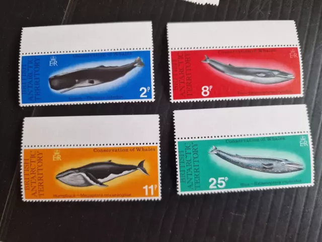 British Antarctic Territory 1977 Sg 79-82 Whale Conservation Mnh