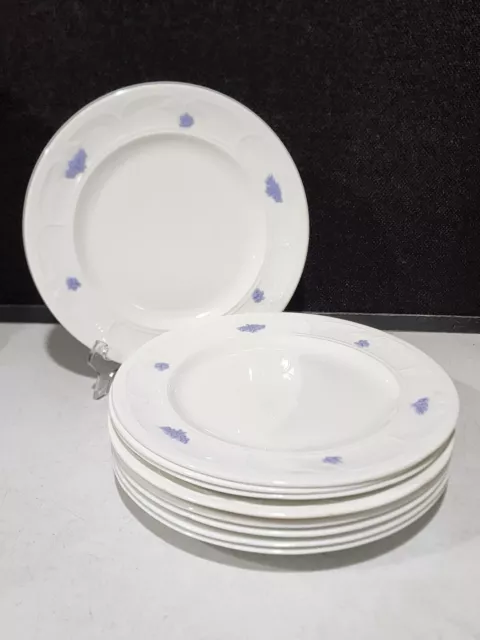 SET OF 9- Vintage Adderley England Blue Chelsea Grape Dinner Plates Bone China