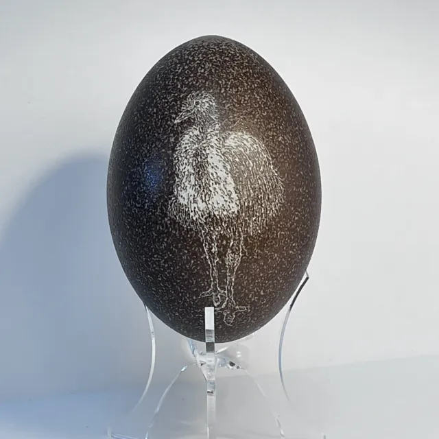 Cáscara de huevo EMÚ con emú pintado sobre soplado con soporte marrón moteado