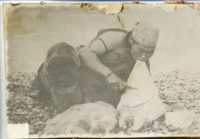 meat butchering carcass Weird photo Inuit Eskimo Chukchi peoples north arctic