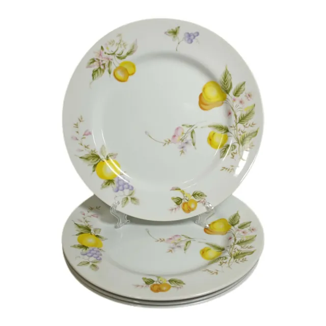 Toscany Citron Hand Painted Fine China Japan 10 ½ in Dinner Plates Set of 4