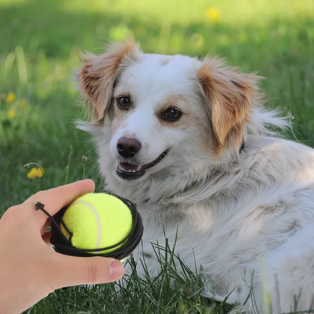 2 piezas cuerda de entrenamiento de tenis para perros masticar bola de alto rebote dentición para perros