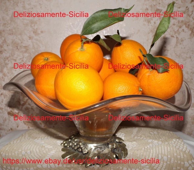 FRISCHE BLONDORANGEN NAVEL aus Sizilien Kg. 5-10-15-20-25-28 ...