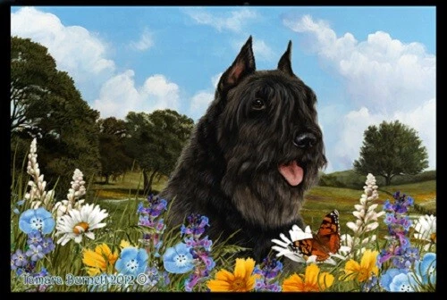 Summer Floor Mat - Black Bouvier des Flandres 39033