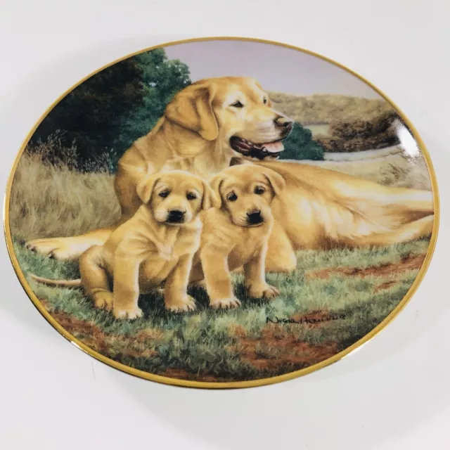 FAITHFUL COMPANIONS Lab dog pet Porcelain Plate, Franklin Mint NIGEL HEMMING
