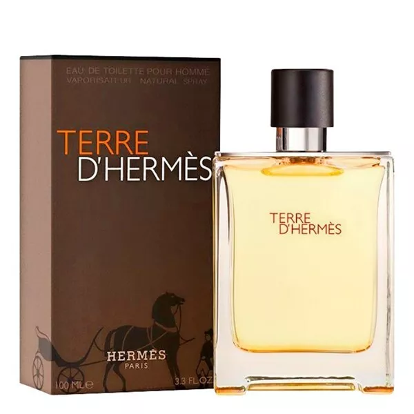 Hermes Terre D'hermes Eau De Toilette 100 Ml Spray (Uomo) Senza Scatola