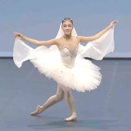 Adult Professional Ballet Tutu Ballet Dance Skating Dress Swan Ballet Dress 3