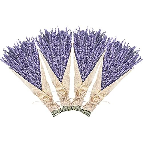 Paquetes de lavanda seca, flores de lavanda seca natural 280-300 púrpura-4 piezas