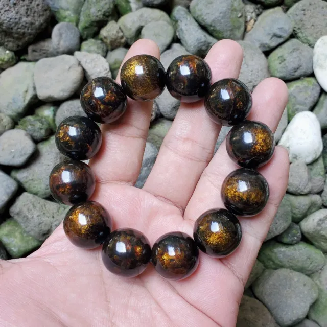 Sparkling Golden Black Coral Bracelet 19-20 MM Genuine Indonesian Sea Willow #09