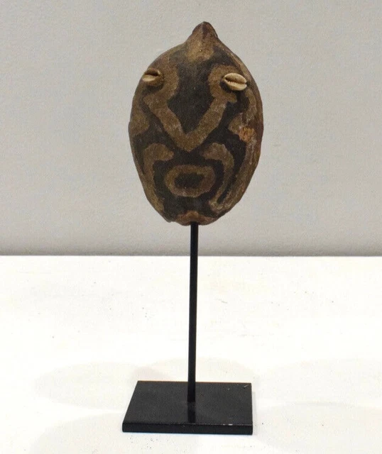 Papua New Guinea Coconut Healing Marupai Papuan Gulf