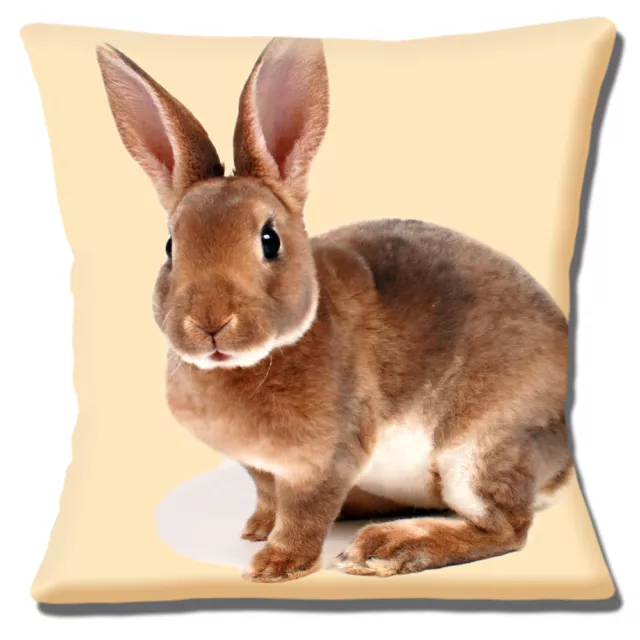 Cute Brown Pet Bunny Rabbit Photo Print on Cream 16" Pillow Cushion Cover