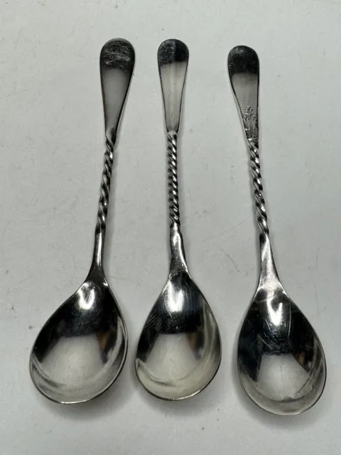 N.F. Silver Co. 1877 Collectable Spoon Niagra Falls Floral Vintage Lot 3