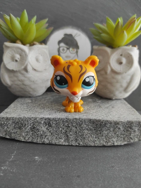 Aazon.es: Littlest Petshop - Pack colección (Hasbro A1316E24