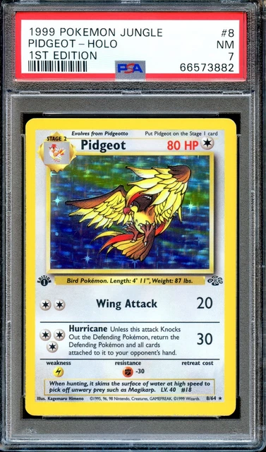 PSA 7 Pidgeot 1st Edition Jungle 8/64 Pokemon Near MINT Holo