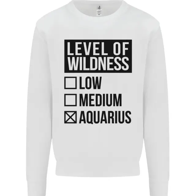 Levels of Wildness Aquarius Kids Sweatshirt Jumper
