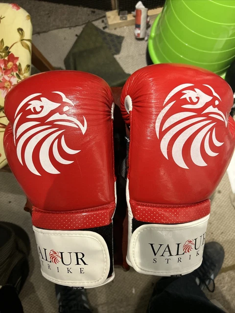 Boxing gloves best sale valour