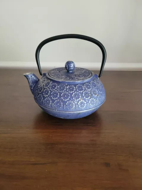 Blue Cast Iron Chinese Teapot with Infuser for Loose Leaf Tea, 34 oz