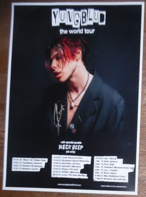 Yungblud - live band music show 2023 TOUR promotional tour concert gig poster