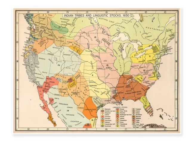 Map of American Indian Tribes and Linguistic Stocks in 1650 circa 1935