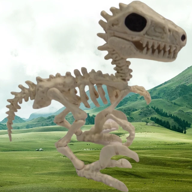 Tyrannosaurus Dinosaur T-Rex Skelton Bones 7X5.5X4 Movable Jaw & Head