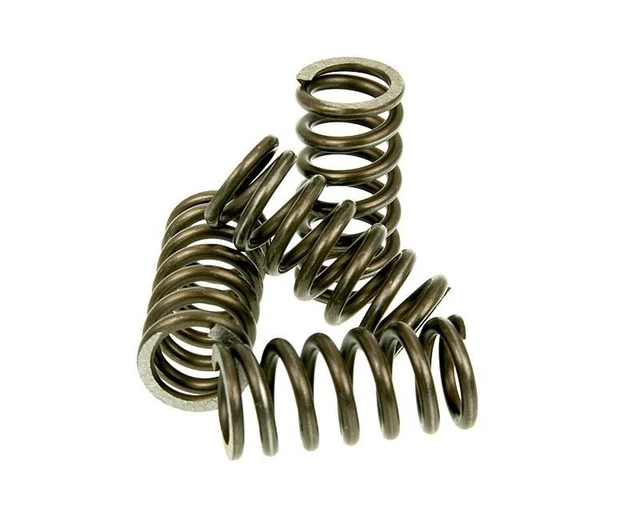 Ressorts d'embrayage MALOSSI renforcée Set - Aprilia MX-50 (-2005) AM6