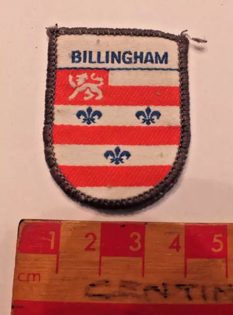Vintage Boy Scouts Billingham District County Area Badge (H1)
