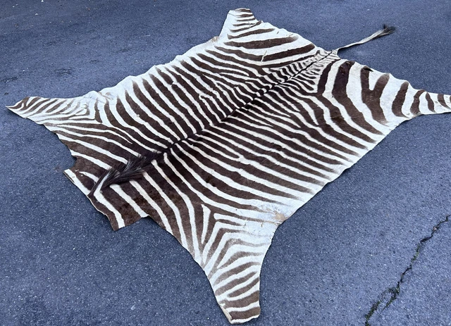 Peau de Zèbre Afrique du Sud Botswana Tapis South African Zebra Skins