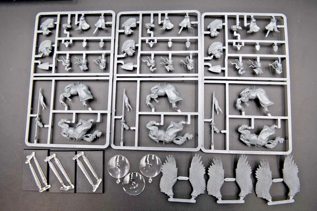 sorciere a pied compatible bretonnian