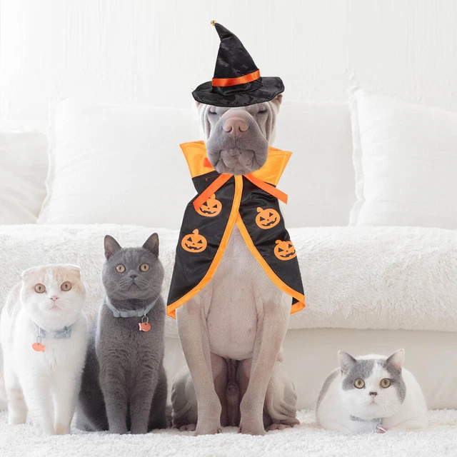 lounge sets 1 Satz von Haustier-Kostüm-Hut-Mantel-Set-Katzenhund-Cosplay-Stüt 11